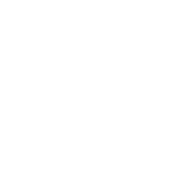 sfr logo b